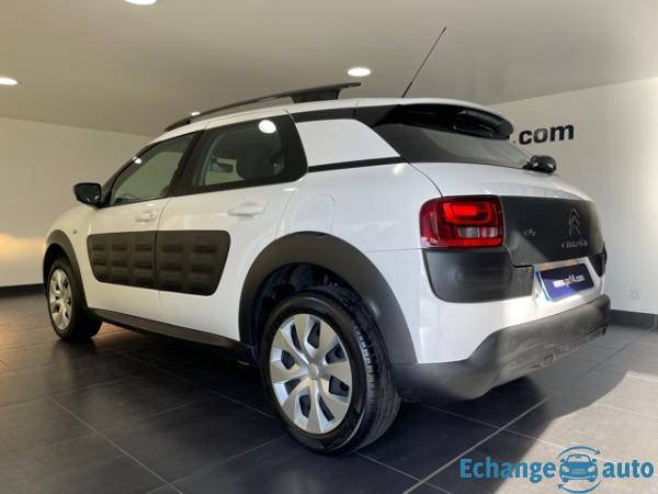 Citroën C4 Cactus 1.6 BlueHdi 100