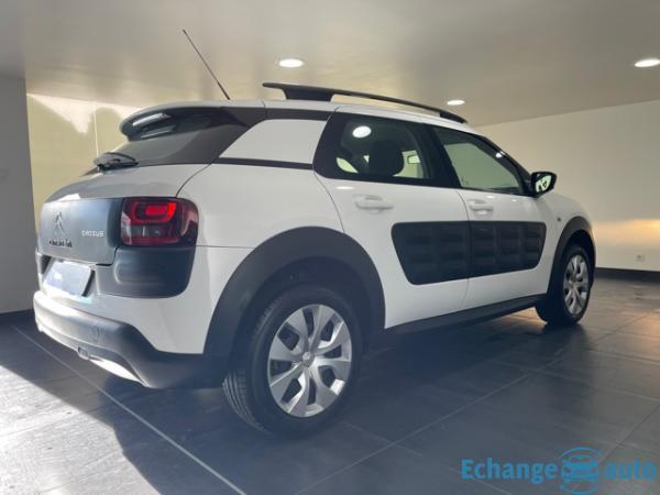 Citroën C4 Cactus 1.6 BlueHdi 100