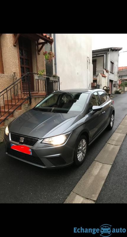 Seat Ibiza 1.0 tsi stage 1 149 cv fiable