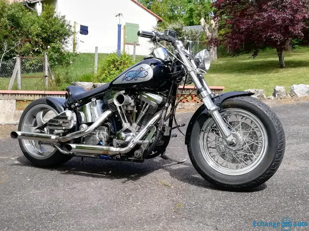 HARLEY-DAVIDSON SOFTAIL CUSTOM CUSTOMISÉE