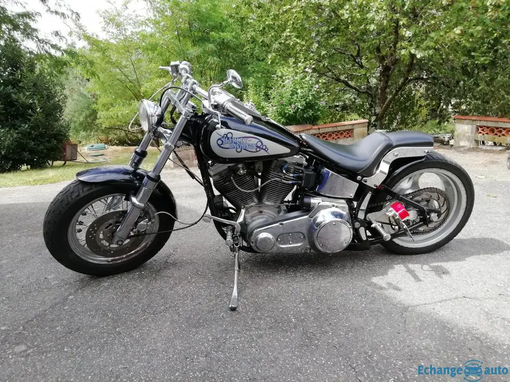HARLEY-DAVIDSON SOFTAIL CUSTOM CUSTOMISÉE
