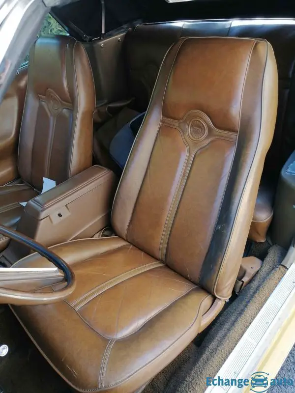 Ford Mercury Cougar XR7 V8