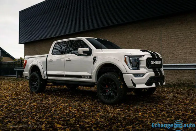 Ford Shelby F 150 Official