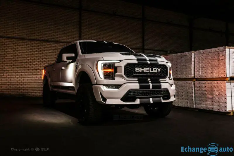 Ford Shelby F 150 Official