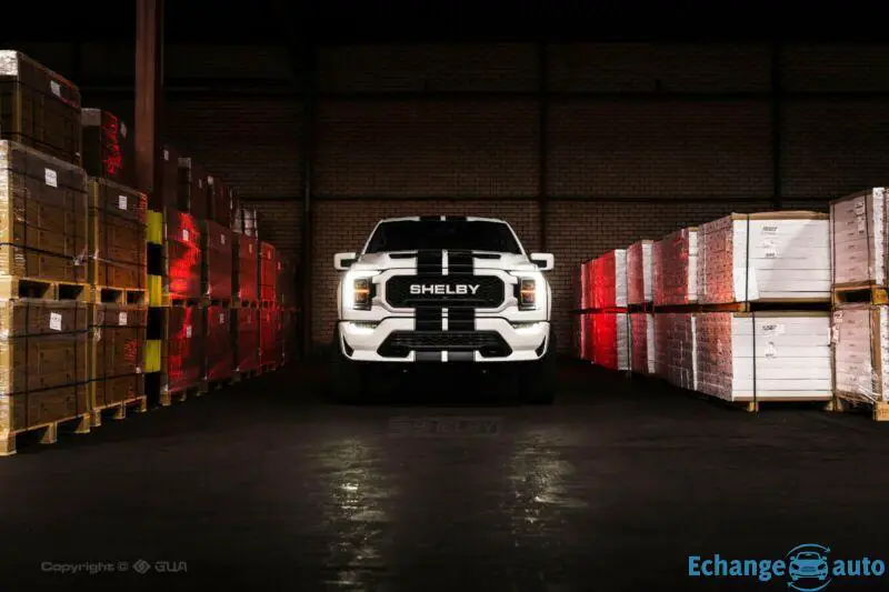 Ford Shelby F 150 Official