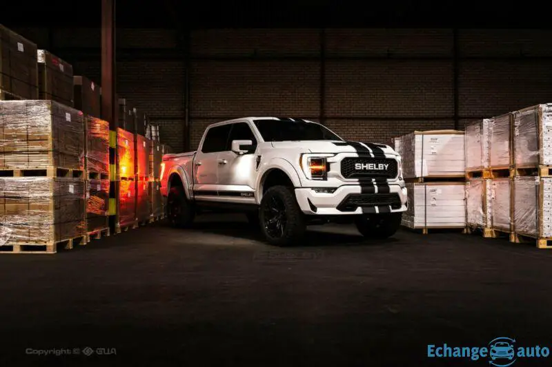 Ford Shelby F 150 Official