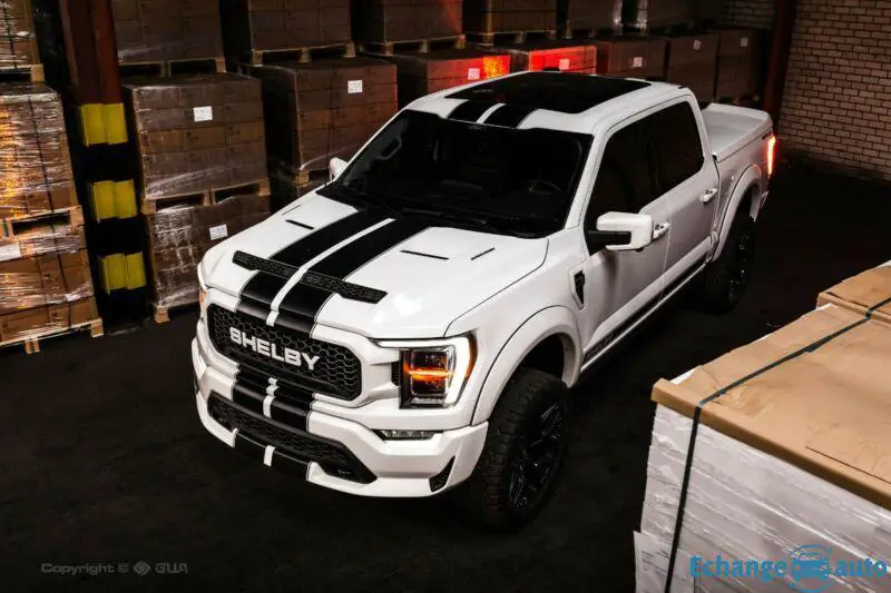 Ford Shelby F 150 Official