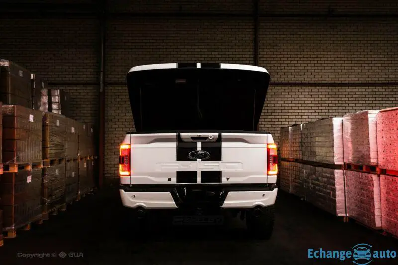 Ford Shelby F 150 Official