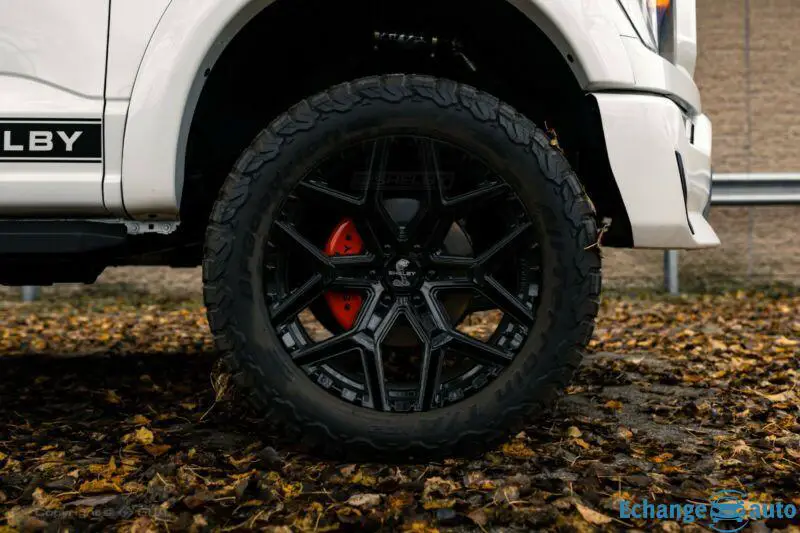 Ford Shelby F 150 Official