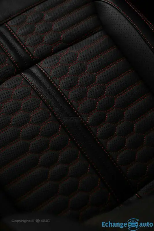 Ford Shelby F 150 Official