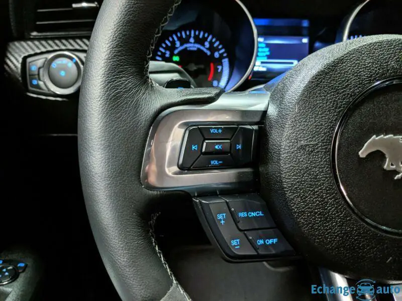 Ford Mustang EcoBoost Shelby