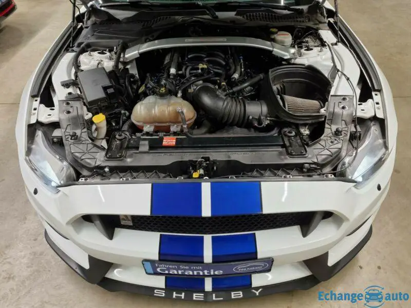 Ford MUSTANG 5.2 V8 GT 350 SHELBY