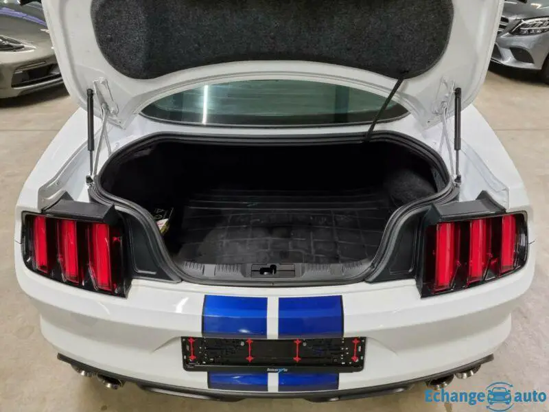 Ford MUSTANG 5.2 V8 GT 350 SHELBY