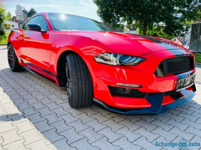 Ford Mustang Shelby  5.0 V8 GT
