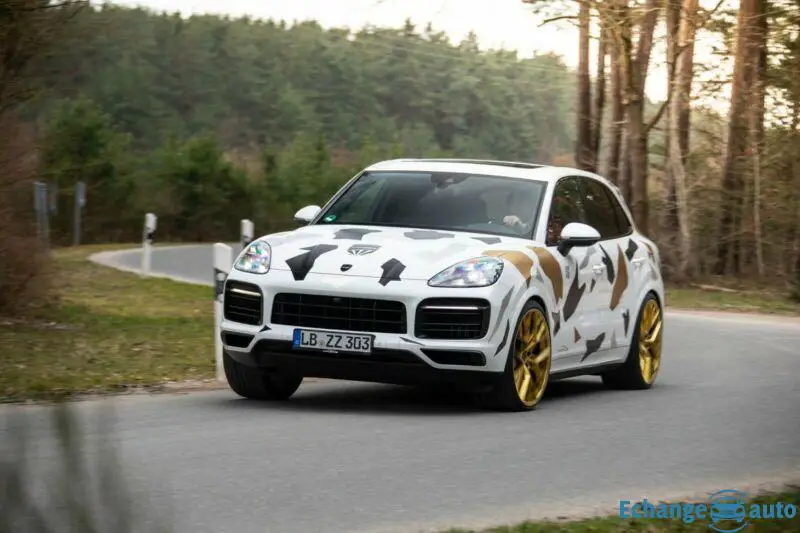 Porsche Cayenne E3 speedART TITAN-EVO-III 385