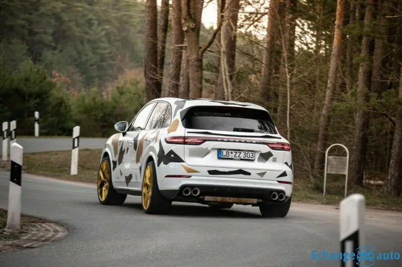Porsche Cayenne E3 speedART TITAN-EVO-III 385