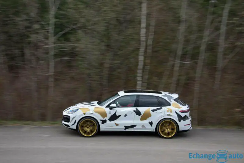 Porsche Cayenne E3 speedART TITAN-EVO-III 385