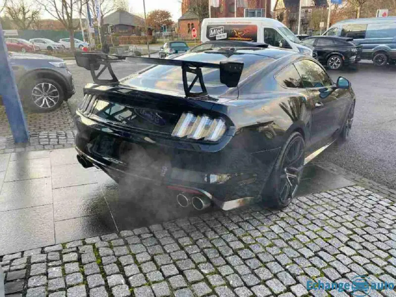 Ford Mustang V8 Kompressor STEEDA