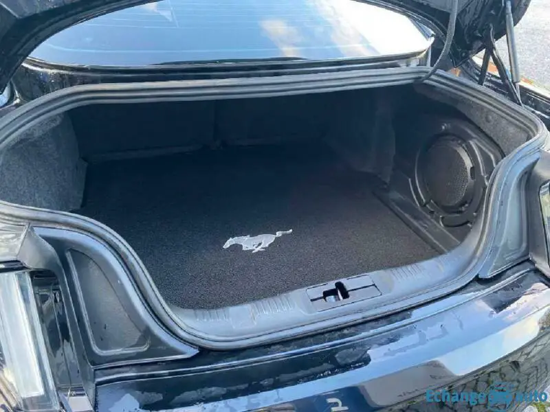 Ford Mustang V8 Kompressor STEEDA