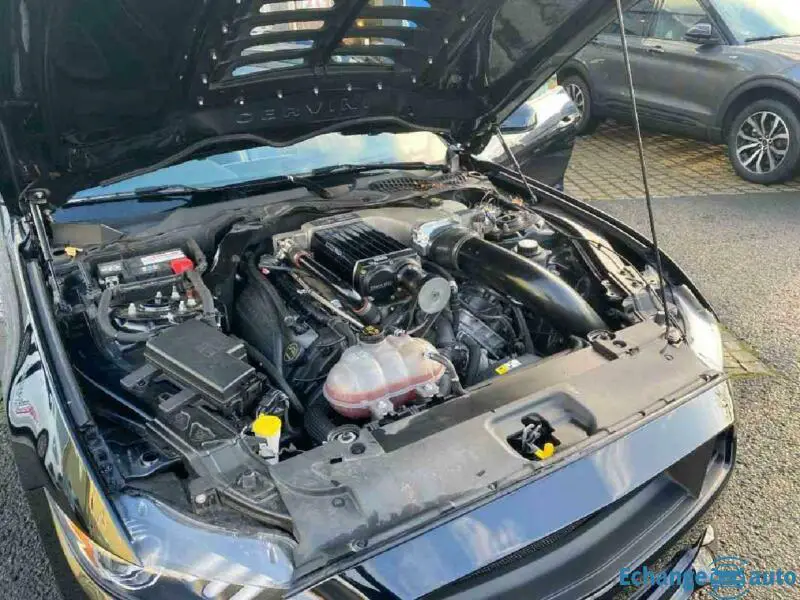 Ford Mustang V8 Kompressor STEEDA