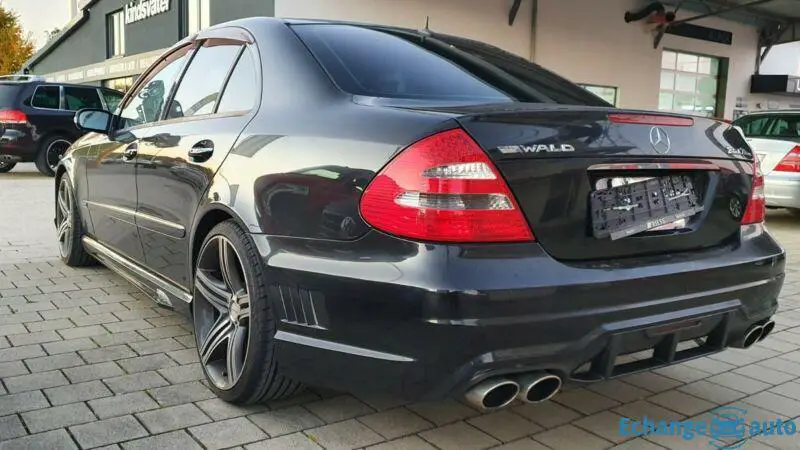 Mercedes-Benz E350 Wald Black Bison