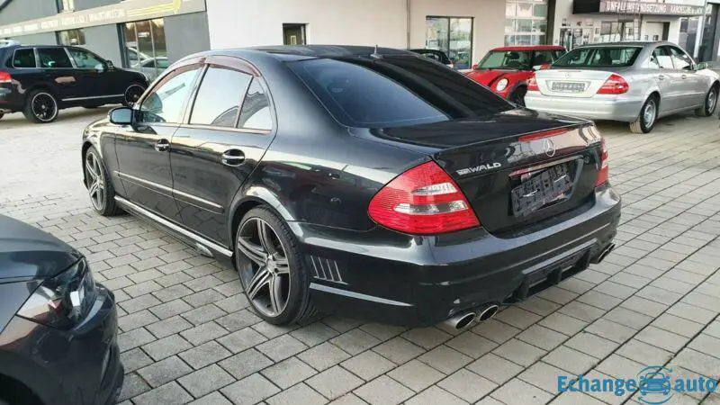 Mercedes-Benz E350 Wald Black Bison