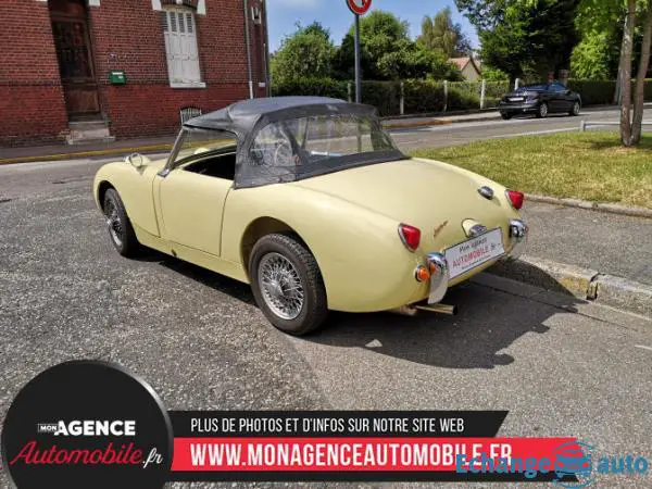 Austin Healey Sprite 1L Frogeye