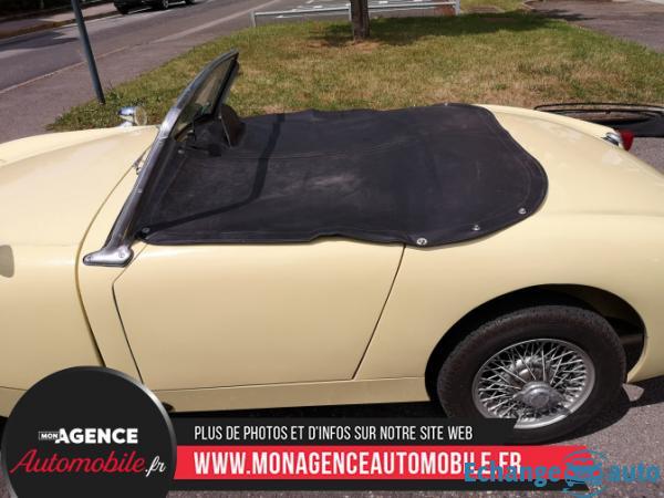Austin Healey Sprite 1L Frogeye