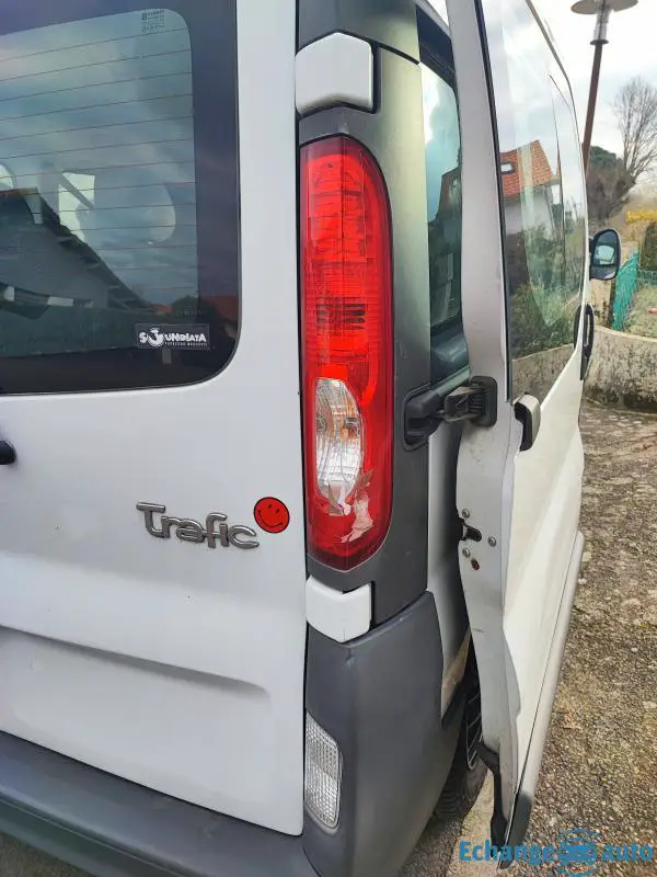 Renault trafic h1n1 9 places
