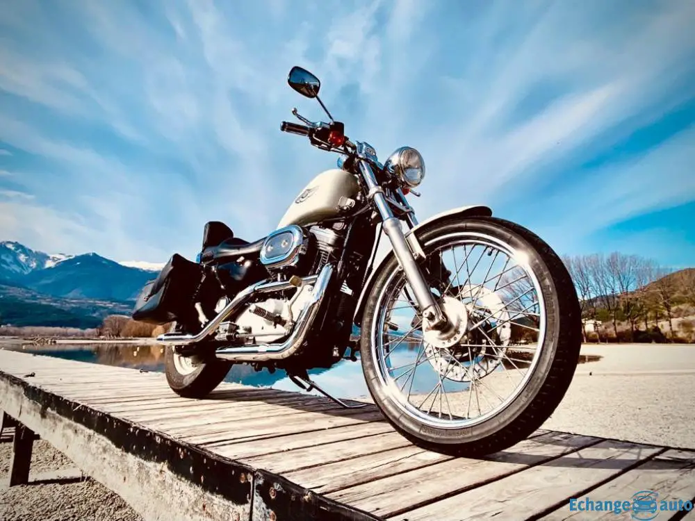 Sporster 883 Harley Davidson 100° anniversair