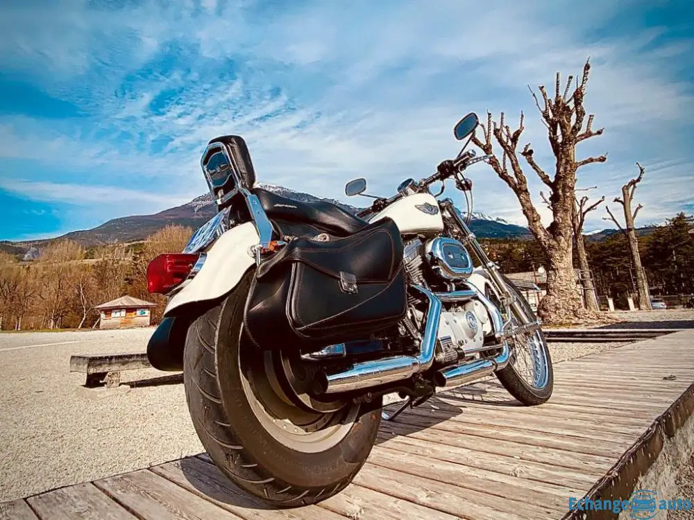 Sporster 883 Harley Davidson 100° anniversair