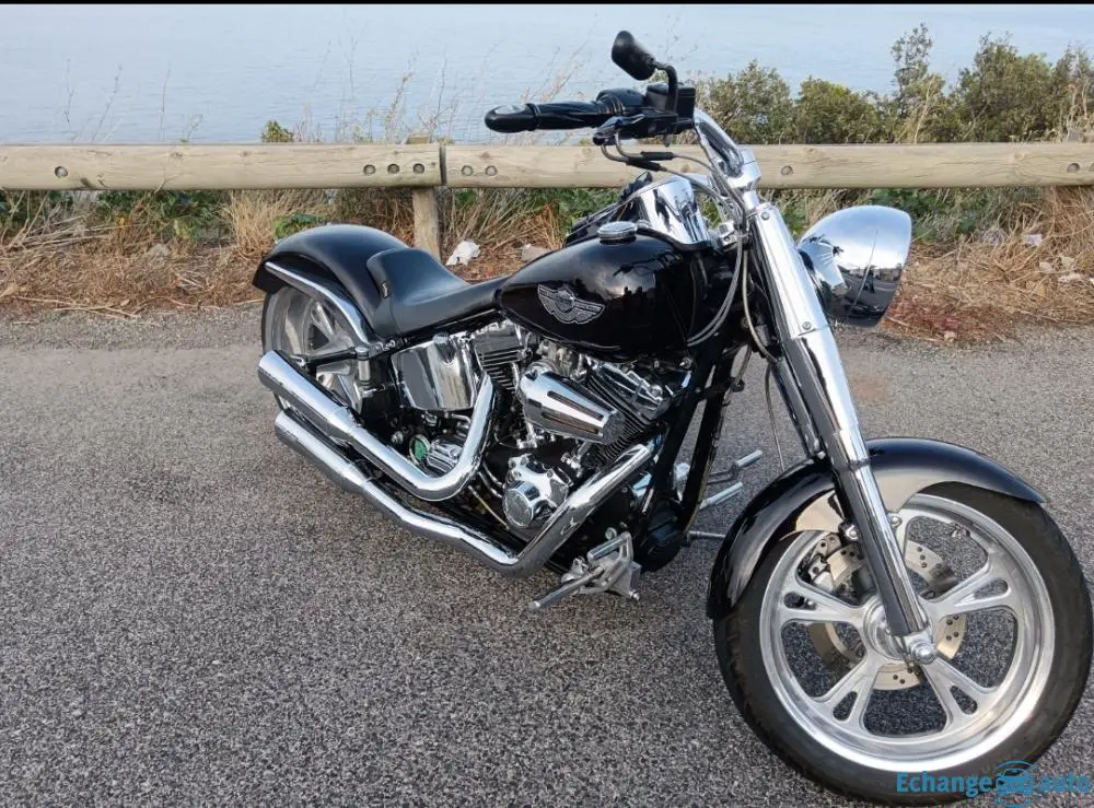 Harley Davidson Fat boy