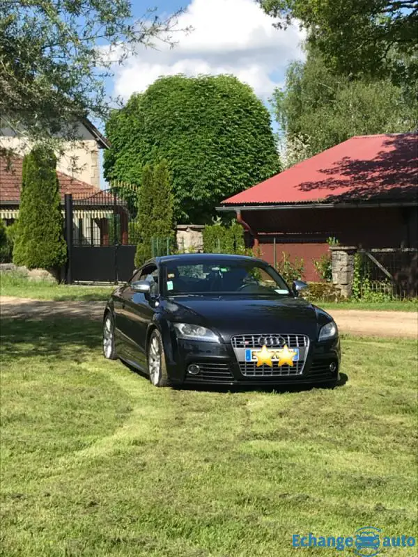 AUDI TTS