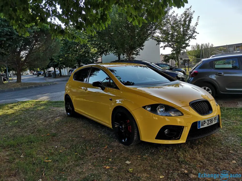 Seat Leon cupra wtcc rare