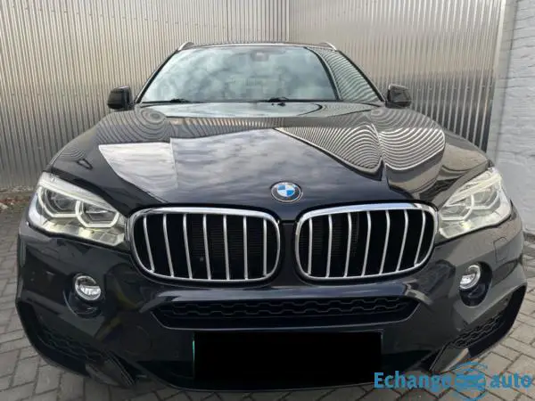 BMW X6 F16 X6 xDrive30d 258 ch M 