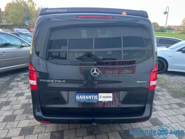 MERCEDES MARCO POLO VITO Marco Polo 250 CDI 