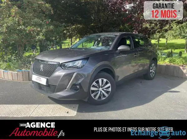 Peugeot 2008 1.5 Blue HDI 110 S&S Active Business