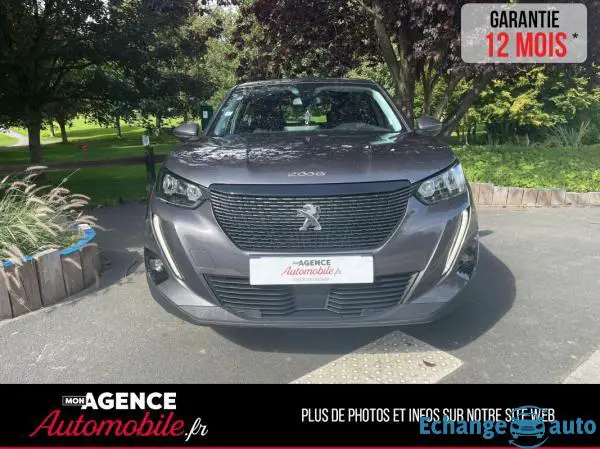 Peugeot 2008 1.5 Blue HDI 110 S&S Active Business