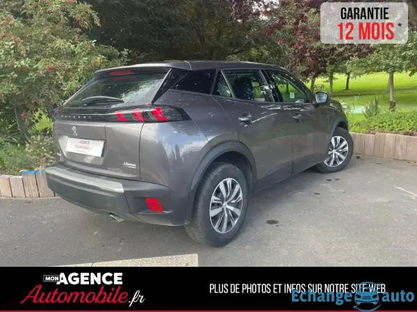 Peugeot 2008 1.5 Blue HDI 110 S&S Active Business
