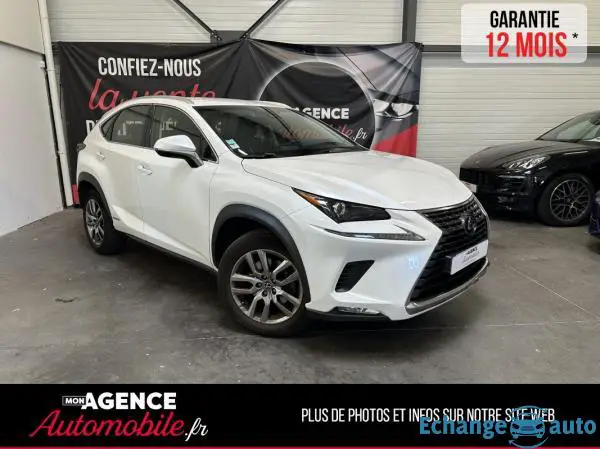 Lexus NX300H 2.5 VVTI 197CV 4RM