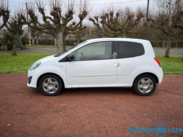RENAULT TWINGO II 1.2 16v 75 eco2 NightetDay