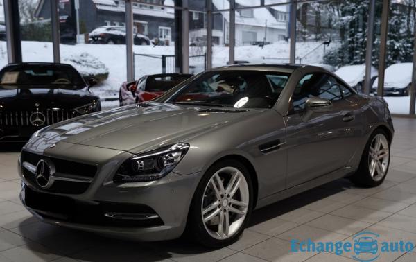 MERCEDES SLK SLK 250 CDI 