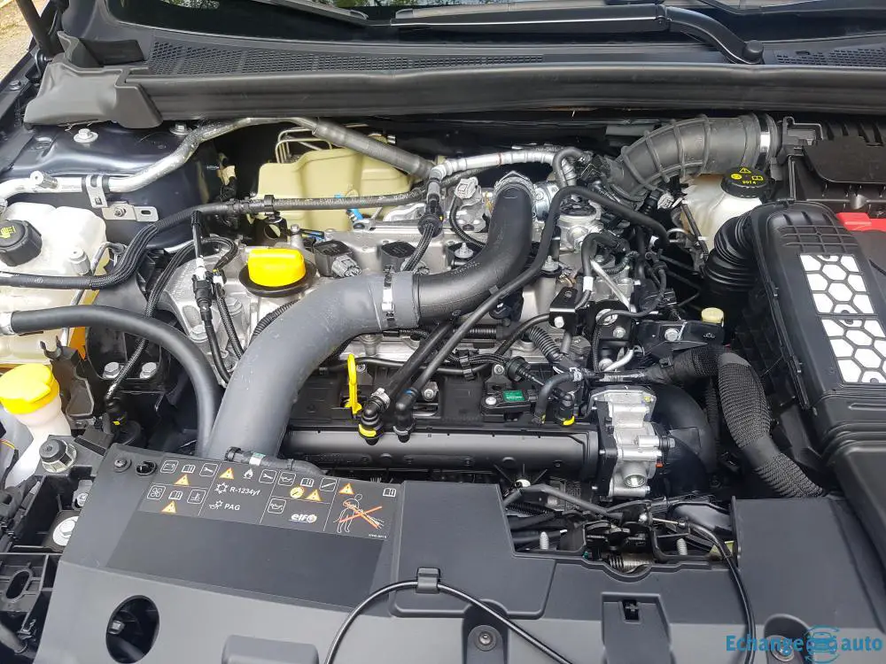 Megane 4 FlexFuel E85 Echange