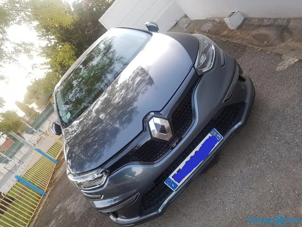 Megane 4 FlexFuel E85 Echange