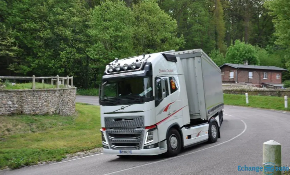 Volvo FH 16 650 + Taut Krone 34 palettes